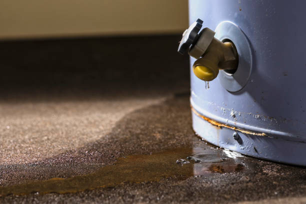 Best Flood damage cleanup  in East Brewton, AL