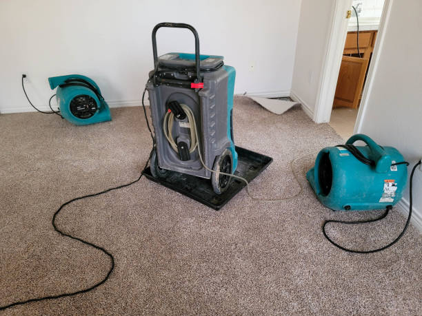 Best Water damage restoration near me  in East Brewton, AL