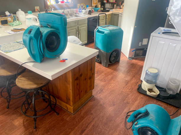 Best Water damage contractors near me  in East Brewton, AL