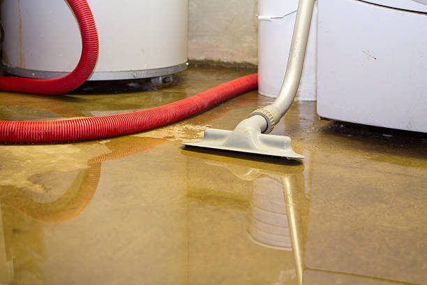 Best Residential water damage restoration  in East Brewton, AL