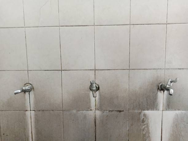 Best Emergency water damage restoration  in East Brewton, AL