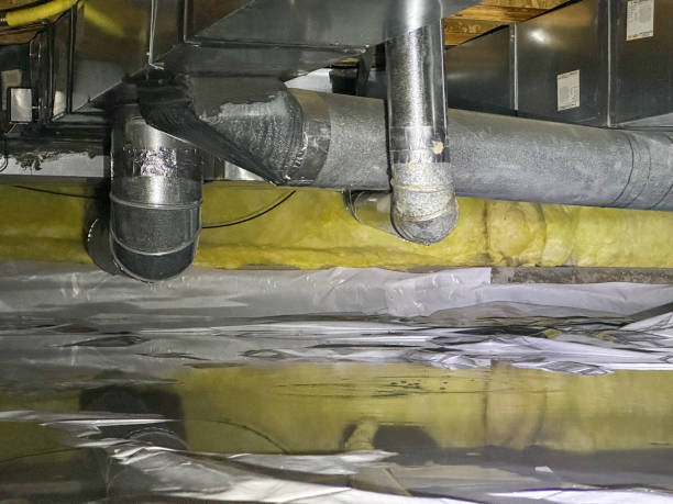 Best Water damage restoration specialists  in East Brewton, AL